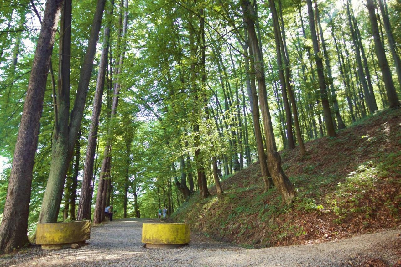 Apartman Nikolic,Banja Vrucica,Teslic Bagian luar foto
